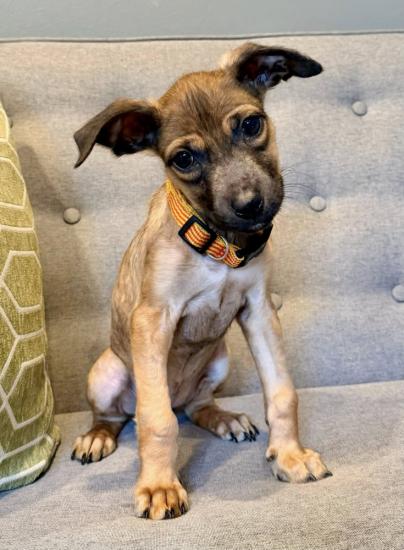 Jasmine *COMING SOON*