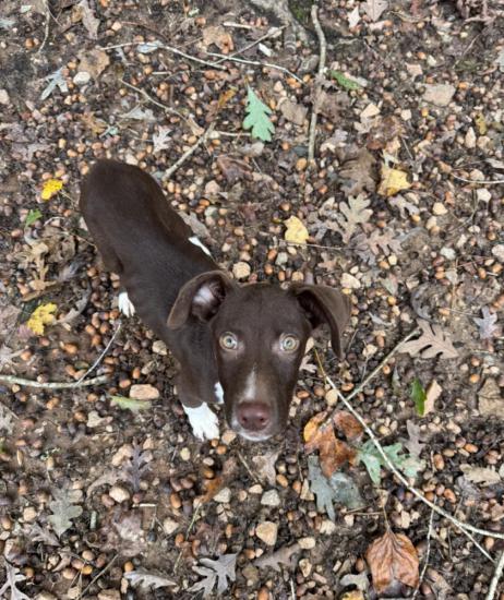 Kramer *COMING SOON*