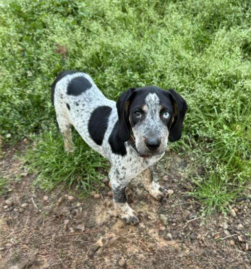 Bryant *COMING SOON*