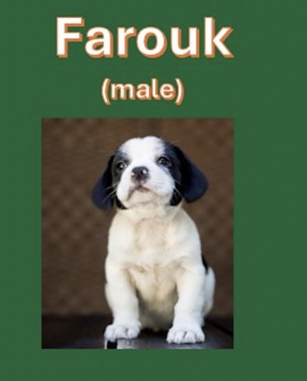 Farouk