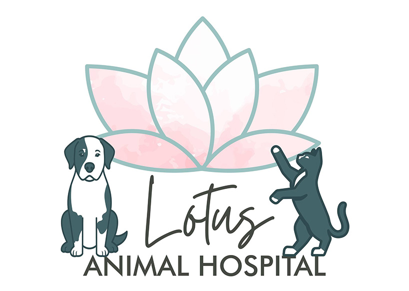 Lotus Animal Hospital