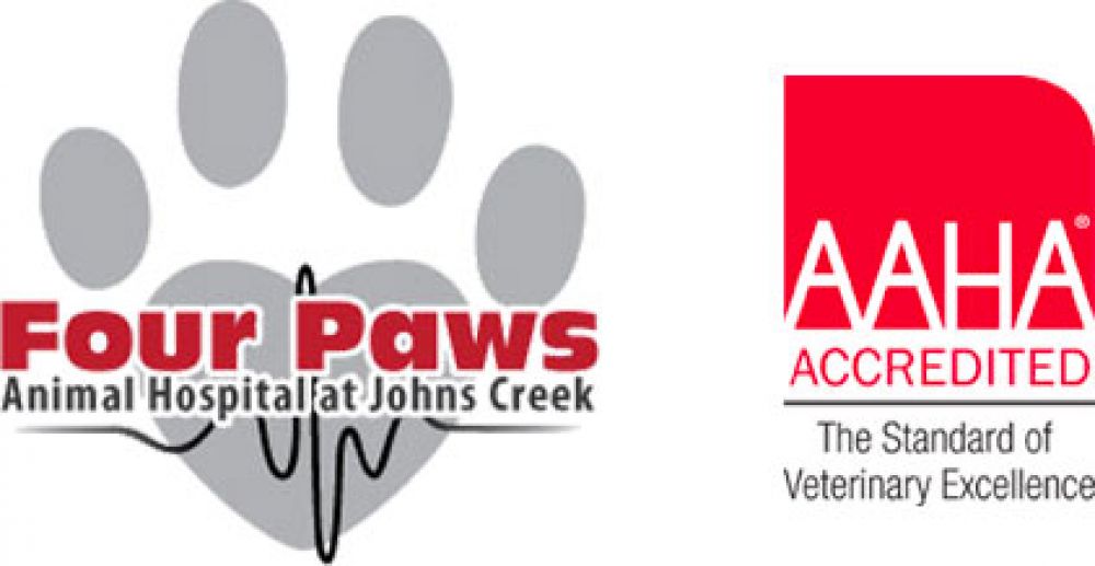 Four Paws Animal Hospital at Johns Creek